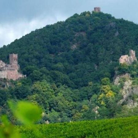 La Ferme Des Perles Noires Hotel Ribeauvillé Екстериор снимка
