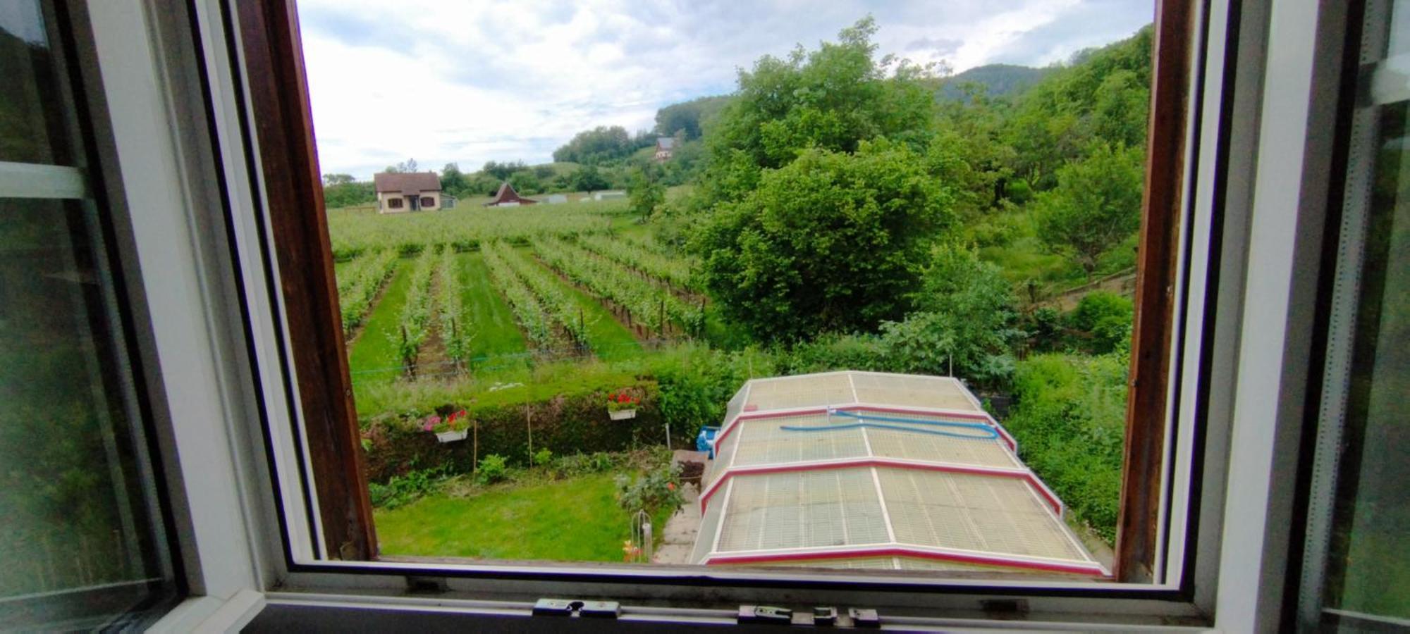La Ferme Des Perles Noires Hotel Ribeauvillé Екстериор снимка